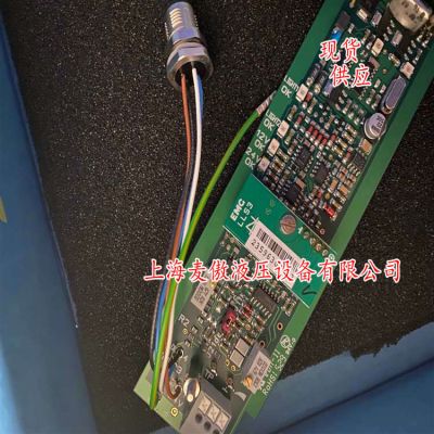 EMG放大器現(xiàn)貨LLS1.6上海游濤